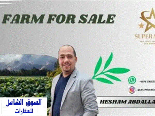 مزرعة خصبة في الختم - دهان شمال (500*500 متر) -...