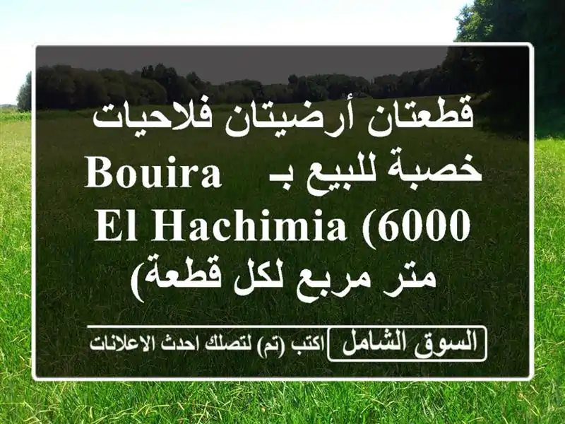 قطعتان أرضيتان فلاحيات خصبة للبيع بـ Bouira - El hachimia...