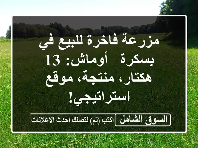 مزرعة فاخرة للبيع في بسكرة - أوماش: 13 هكتار،...