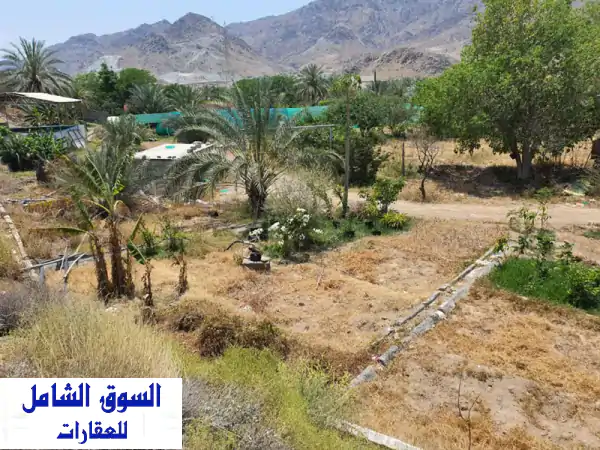 مزرعة فاخرة للبيع في البليدة، الفجيرة - إطلالة...