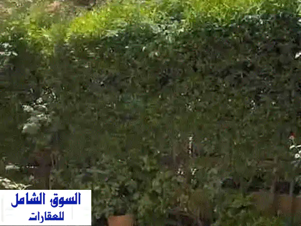 شقة أرضية بحديقة 90م² للإيجار بالرحاب - موقع...
