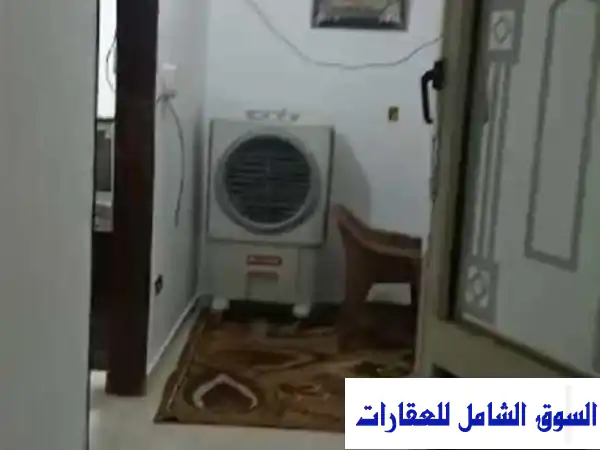 استوديو مفروش فاخر للإيجار في قلب المعادي القديمة -...