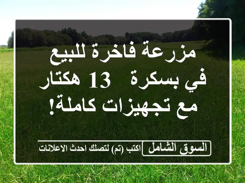 مزرعة فاخرة للبيع في بسكرة - 13 هكتار مع تجهيزات كاملة!