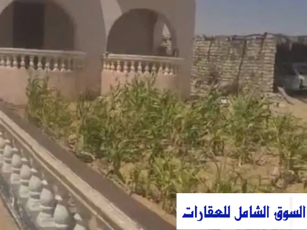 فرصة استثمارية استثنائية! 3000 فدان للبيع بالإسماعيلية...