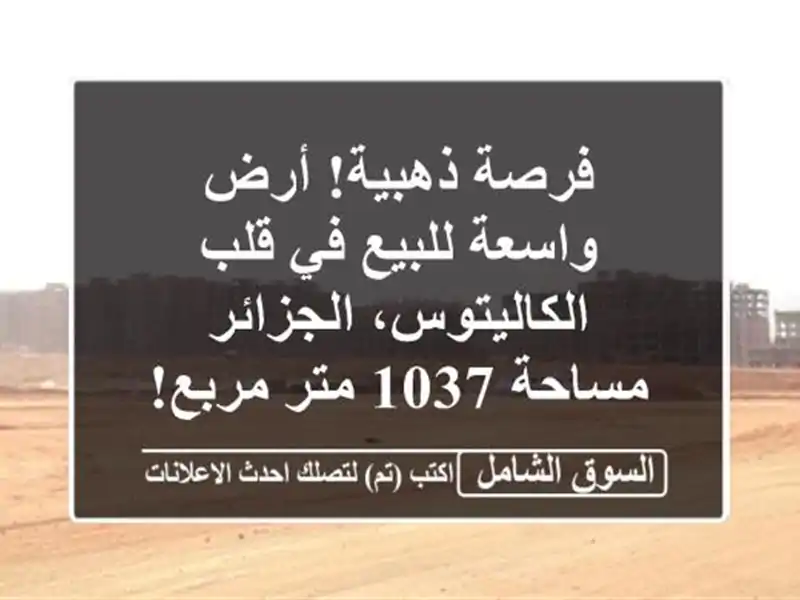 فرصة ذهبية! أرض واسعة للبيع في قلب الكاليتوس، الجزائر...