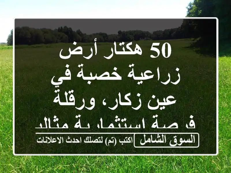 50 هكتار أرض زراعية خصبة في عين زكار، ورقلة -...