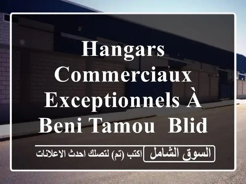 Hangars Commerciaux Exceptionnels à Beni Tamou, Blida - Opportunité d'Investissement!