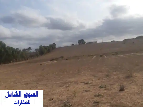 فرصة استثمارية ذهبية! قطعة أرض ساحرة 10600 متر مربع...