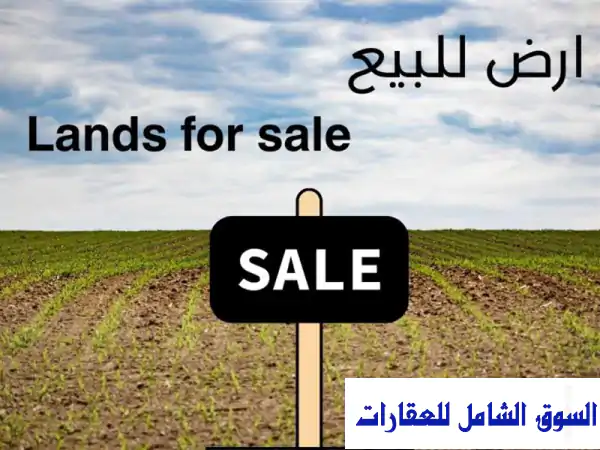 فرصة استثمارية ذهبية في عجمان للكويتيين: قطعتا...