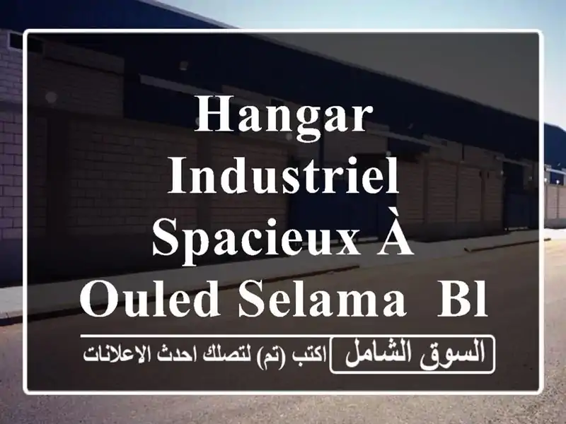Hangar Industriel Spacieux à Ouled Selama, Blida - Occasion Unique!