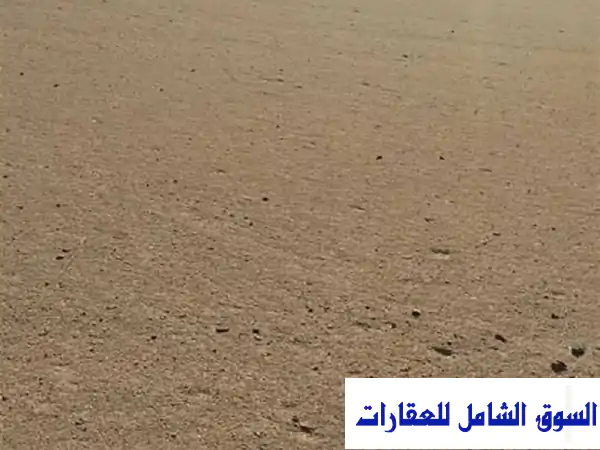 250 فدانًا في الواحات البحرية: استثمارك الذهبي ينتظرك!