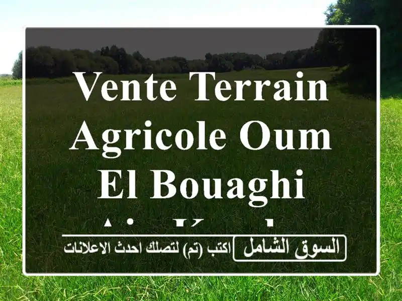 Vente Terrain Agricole Oum El Bouaghi Ain kercha