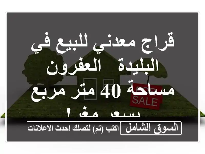 قراج معدني للبيع في البليدة - العفرون - مساحة 40 متر...