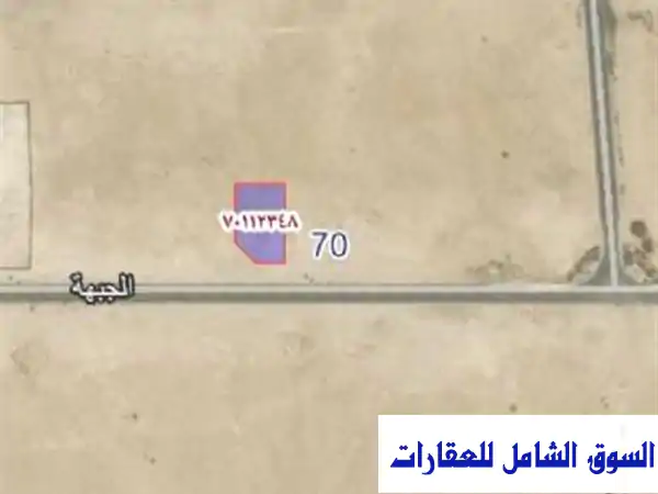 فرصة ذهبية! أرض مميزة للبيع بالصخامة - تمويل...