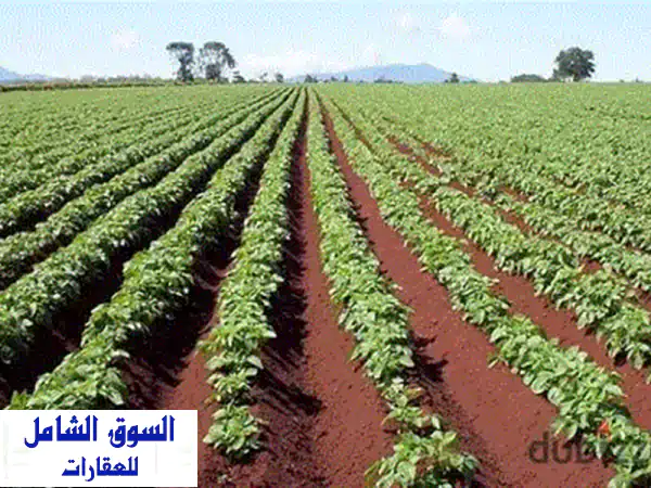 أرض استثمارية نادرة للبيع في دار السلام - 22,759 م² - فرصة ذهبية!