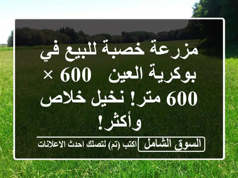 مزرعة خصبة للبيع في بوكرية العين - 600 × 600 متر! نخيل...
