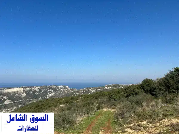 ارض للبيع في البترون - فرصة استثمارية مميزة...