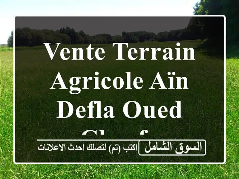Vente Terrain Agricole Aïn Defla Oued chorfa