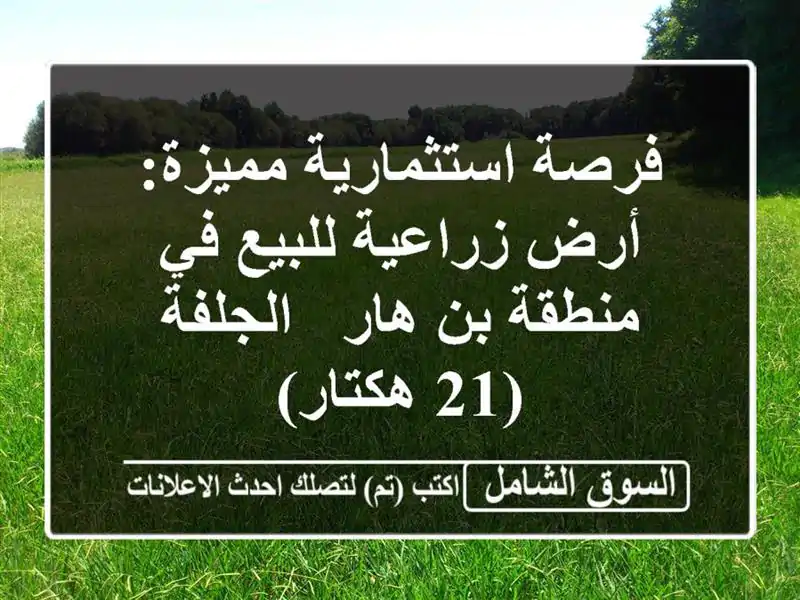 فرصة استثمارية مميزة: أرض زراعية للبيع في منطقة بن...