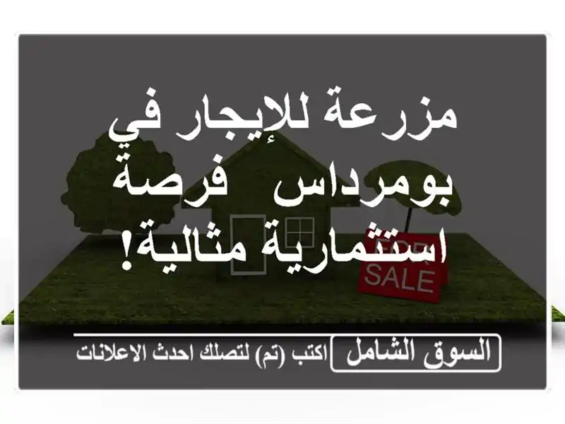 مزرعة للإيجار في بومرداس - فرصة استثمارية مثالية!
