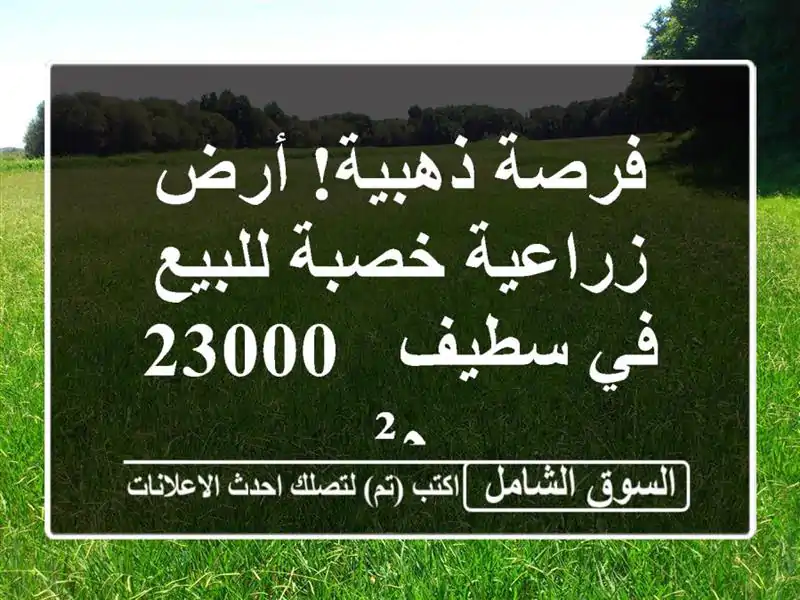 فرصة ذهبية! أرض زراعية خصبة للبيع في سطيف - 23000 م²