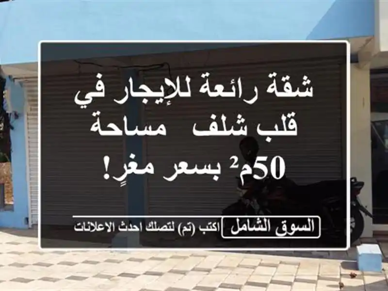 شقة رائعة للإيجار في قلب شلف - مساحة 50م² بسعر مغرٍ!