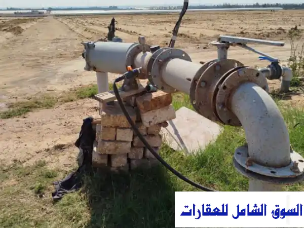 فرصة استثمارية ذهبية! 50 فدان أرض زراعية للإيجار في وادي النطرون - موقع استراتيجي ومواصفات ممتازة
