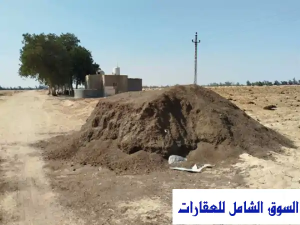 فرصة استثمارية ذهبية! 50 فدان أرض زراعية للإيجار...