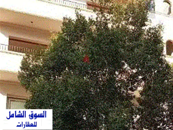 فرصة استثمارية ذهبية! عمارة سكنية للبيع - حي ثانٍ...