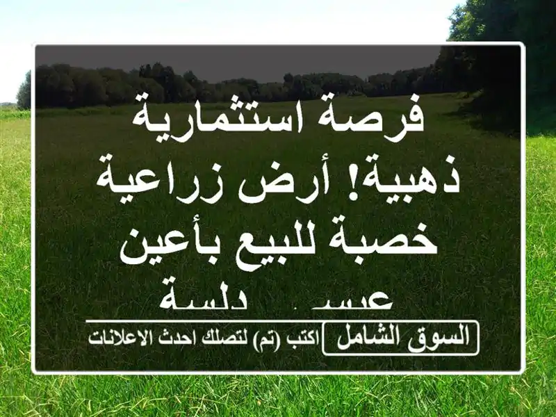 فرصة استثمارية ذهبية! أرض زراعية خصبة للبيع بأعين...
