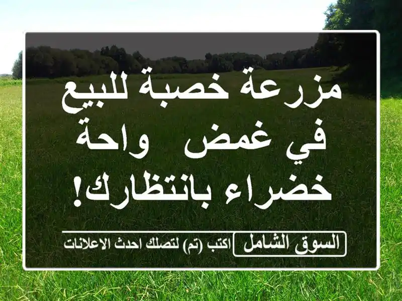 مزرعة خصبة للبيع في غمض - واحة خضراء بانتظارك!