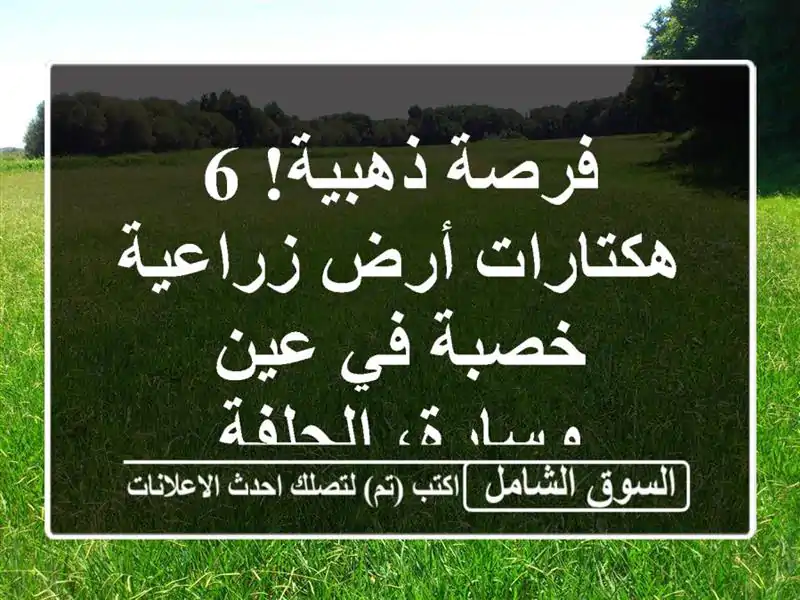 فرصة ذهبية! 6 هكتارات أرض زراعية خصبة في عين...