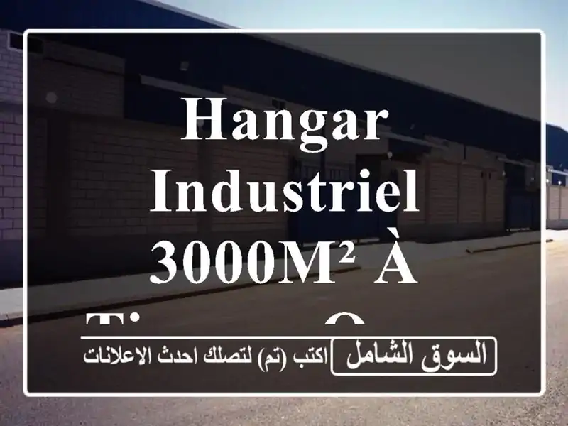 Hangar Industriel 3000m² à Tipaza - Occasion Unique!
