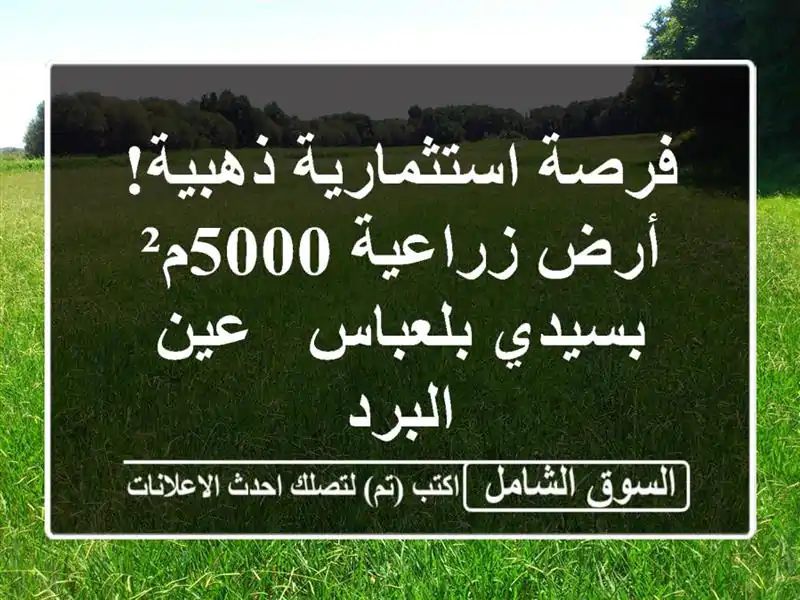 فرصة استثمارية ذهبية! أرض زراعية 5000م² بسيدي بلعباس...