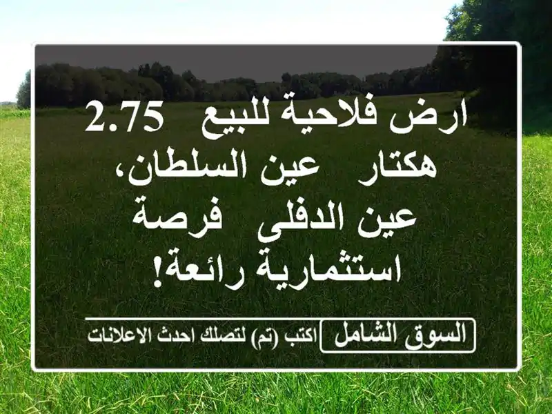 ارض فلاحية للبيع - 2.75 هكتار - عين السلطان، عين الدفلى...