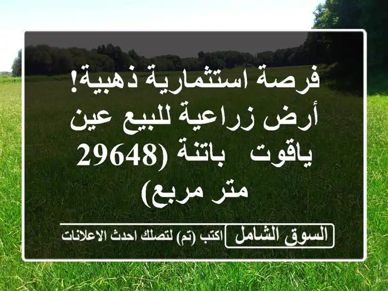 فرصة استثمارية ذهبية! أرض زراعية للبيع عين ياقوت...