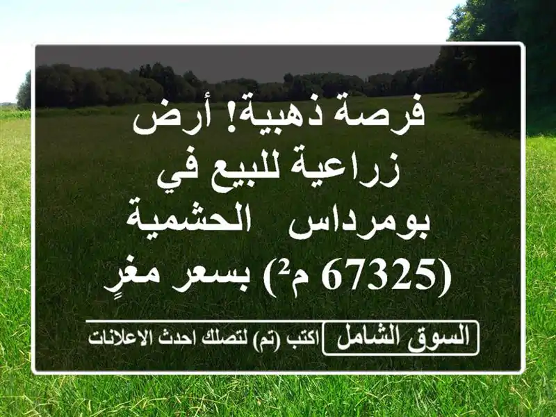 فرصة ذهبية! أرض زراعية للبيع في بومرداس - الحشمية...