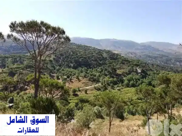 بيت للبيع بمهرية: فيلا خاصة مع أرض واسعة وإطلالة خلابة!