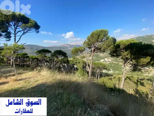 فرصة استثمارية ذهبية! أرض للبيع في الخنشارة بلونيا...