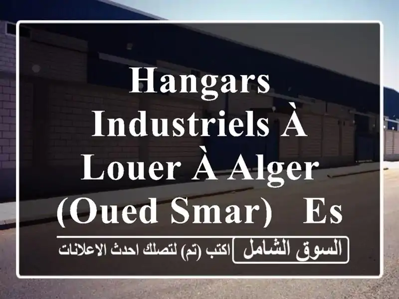 Hangars Industriels à Louer à Alger (Oued Smar) - Espaces de Stockage et Production