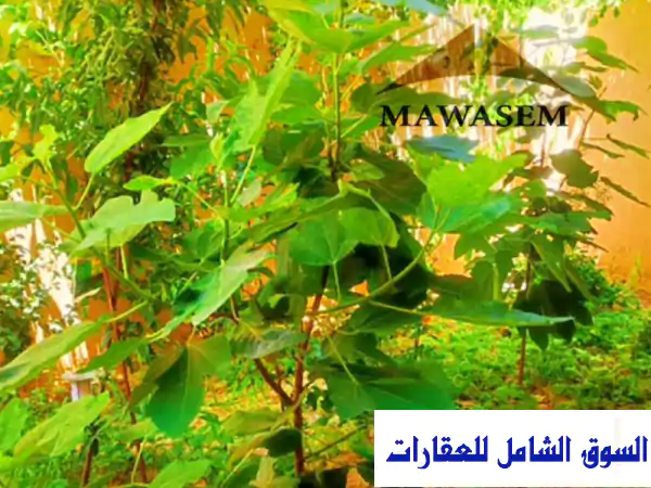 دوبلكس فاخر 480م² مفروش بالشروق - جنة سكنية خاصة بك!