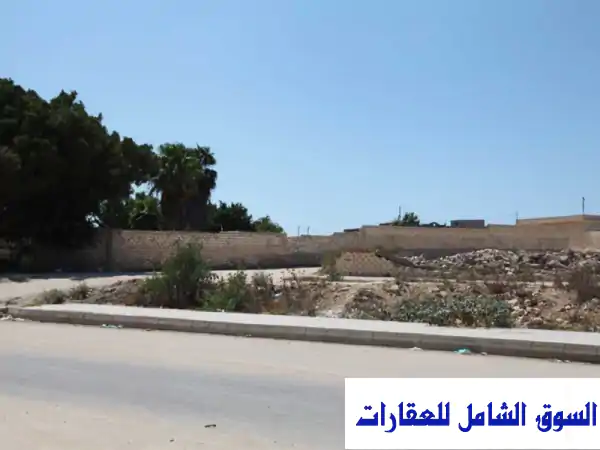 فرصة استثمارية ذهبية! أرض 5000 م² بمدخل برج العرب الجديدة - سعر مميز!