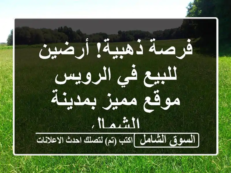فرصة ذهبية! أرضين للبيع في الرويس - موقع مميز...