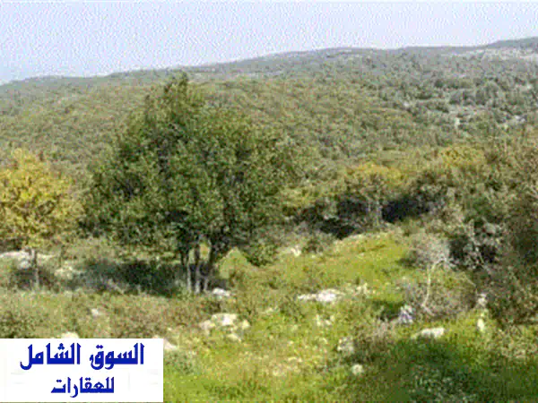 فرصة استثمارية ذهبية! أرض للبيع في شيخان جبيل - 2000م²، منظر خلاب، سعر مميز!