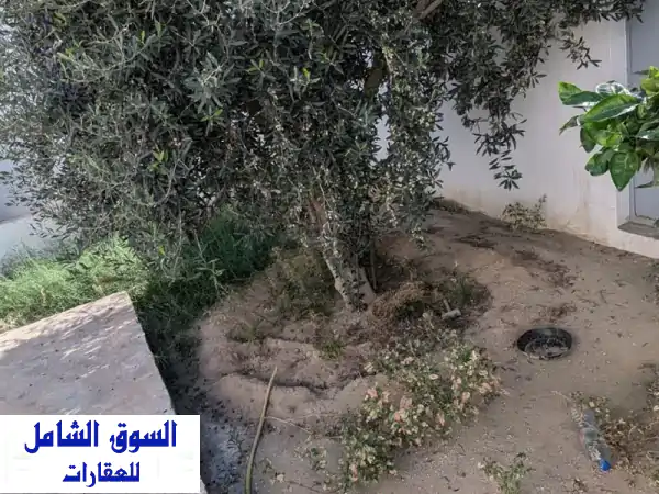 فرصة ذهبية! منزل قديم للبيع بصفاقس - طريق منزل شاكر - أرض 400م²