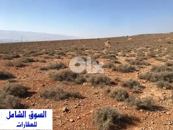 ارض زراعية خصبة للبيع في منطقة الفاكهة، البقاع -...