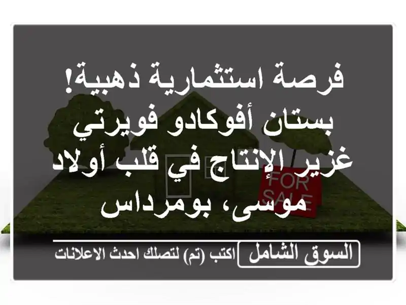 فرصة استثمارية ذهبية! بستان أفوكادو فويرتي...
