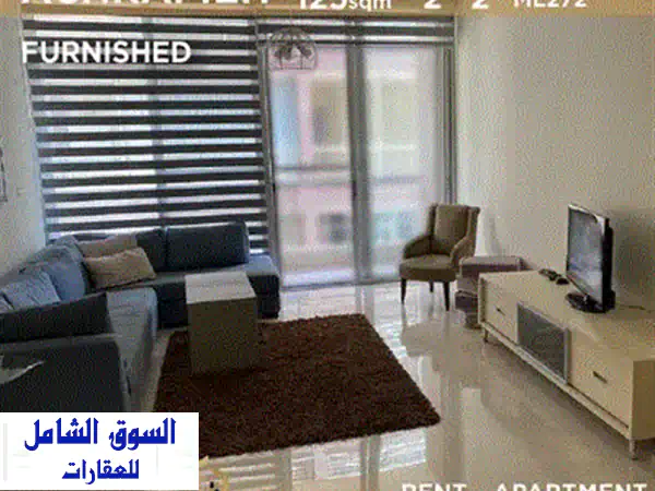شقة فاخرة للإيجار في طريق الجديدة - مساحة 250 متر مربع، مفروشة بالكامل