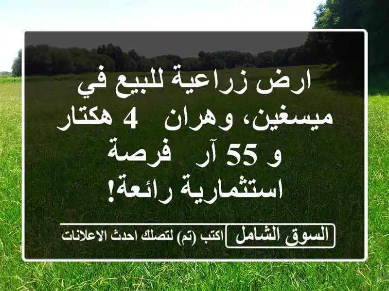 ارض زراعية للبيع في ميسغين، وهران - 4 هكتار و 55 آر -...