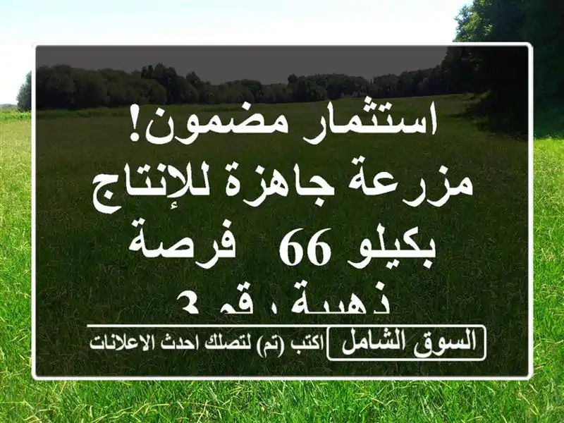 استثمار مضمون! مزرعة جاهزة للإنتاج بكيلو 66 - فرصة...